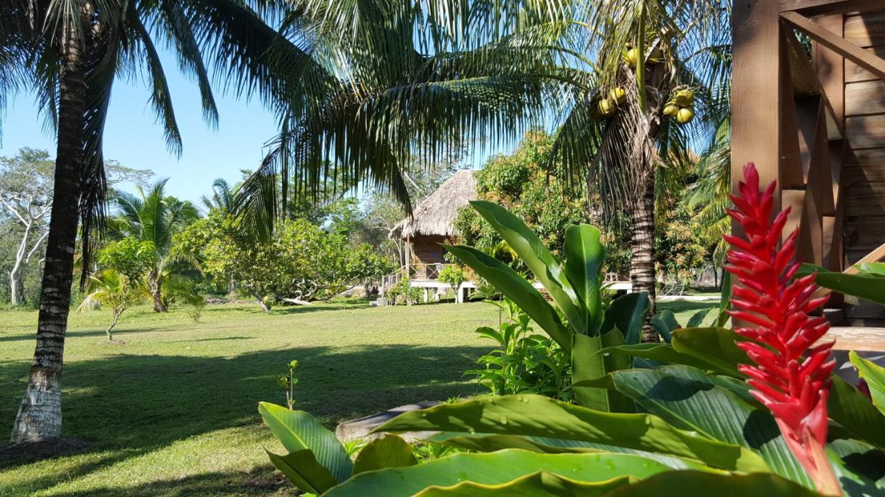 Nature Resort Bermudian Landing Buitenkant foto